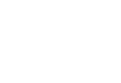 Verify payment